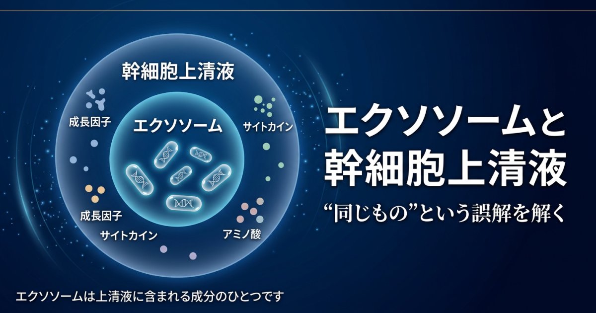 エクソソームと幹細胞上清液の関係性──「同じもの」という誤解を解く